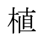 26893_SHOKU_ueru_Pflanze_plant